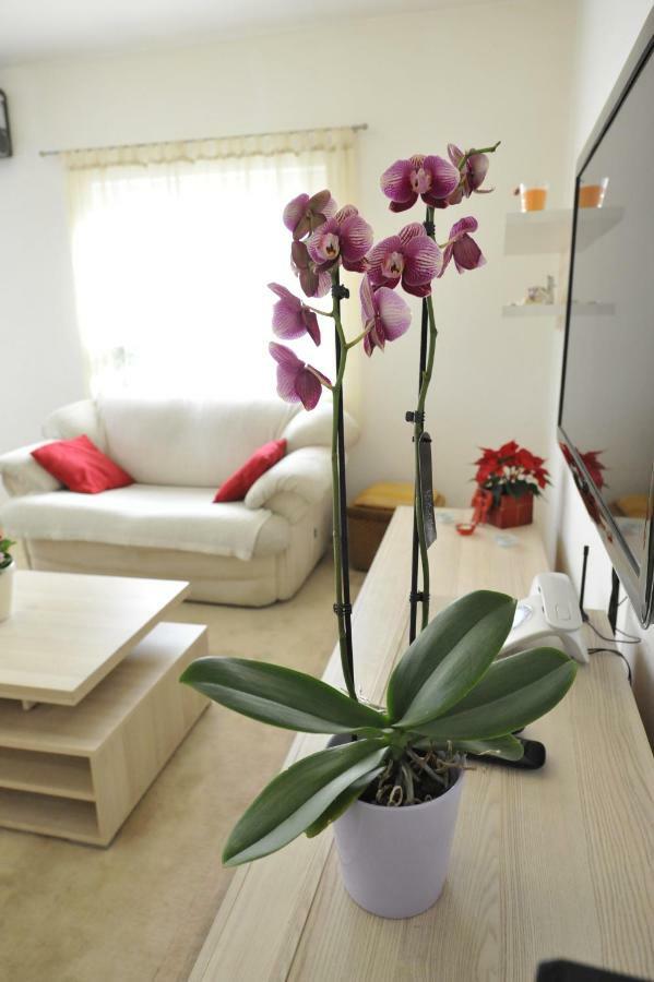 Vlatka Apartman Split Exterior photo